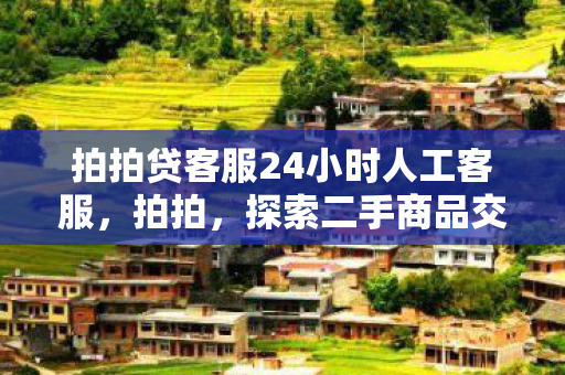 拍拍贷客服24小时人工客服，拍拍，探索二手商品交易的无限可能