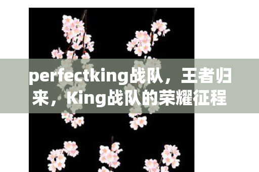 perfectking战队，王者归来，King战队的荣耀征程