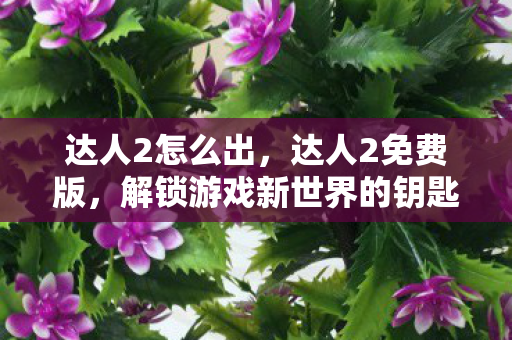 达人2怎么出，达人2免费版，解锁游戏新世界的钥匙