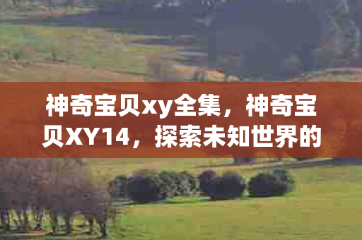 神奇宝贝xy全集，神奇宝贝XY14，探索未知世界的奇妙旅程