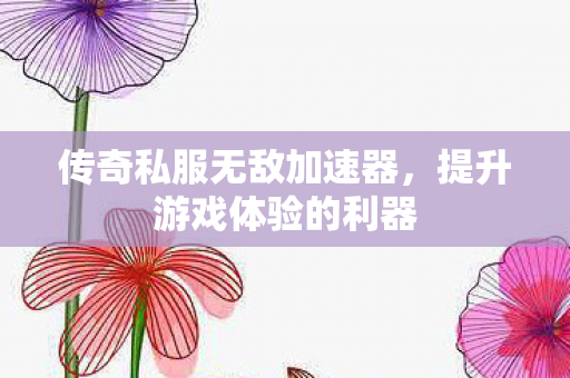 传奇私服无敌加速器，提升游戏体验的利器