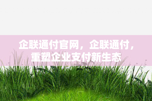 企联通付官网，企联通付，重塑企业支付新生态