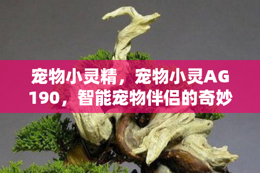 宠物小灵精，宠物小灵AG190，智能宠物伴侣的奇妙世界