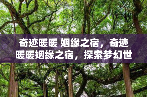 奇迹暖暖 姻缘之宿，奇迹暖暖姻缘之宿，探索梦幻世界的浪漫之旅