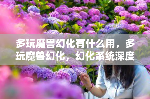 多玩魔兽幻化有什么用，多玩魔兽幻化，幻化系统深度解析与幻化之旅