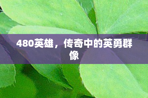 480英雄，传奇中的英勇群像