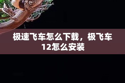 极速飞车怎么下载，极飞车12怎么安装
