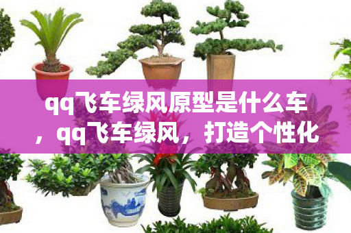 qq飞车绿风原型是什么车，qq飞车绿风，打造个性化游戏世界的秘密武器