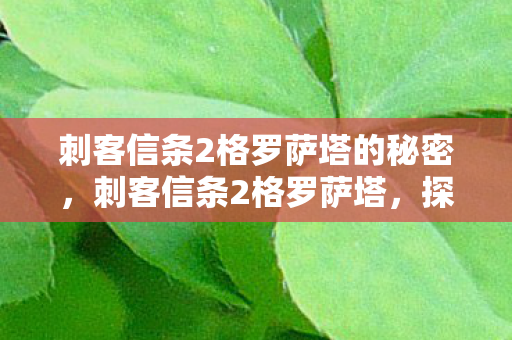 刺客信条2格罗萨塔的秘密，刺客信条2格罗萨塔，探索历史与虚构的交汇