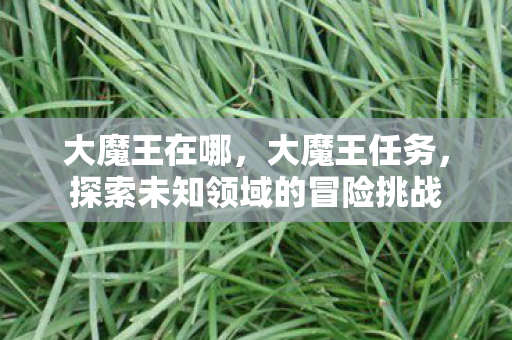 大魔王在哪，大魔王任务，探索未知领域的冒险挑战