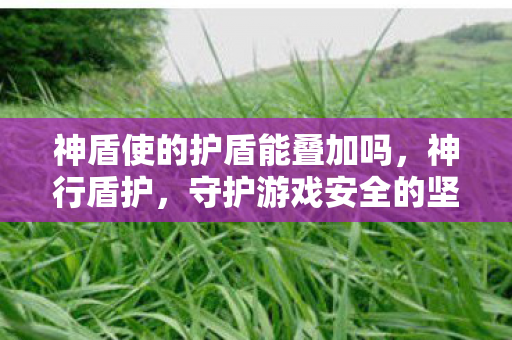 神盾使的护盾能叠加吗，神行盾护，守护游戏安全的坚固防线