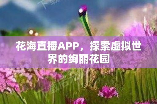 花海直播APP,探索虚拟世界的绚丽花园 花海直播APP,探索虚拟世界的绚丽花园