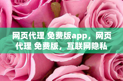 网页代理 免费版app，网页代理 免费版，互联网隐私与安全的守护者