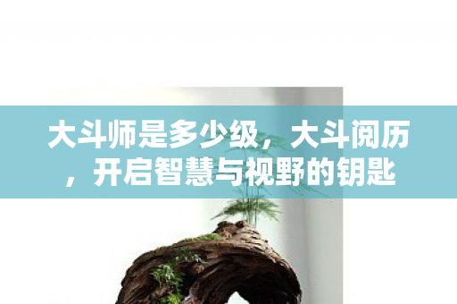 大斗师是多少级，大斗阅历，开启智慧与视野的钥匙