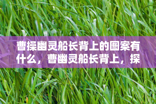 曹操幽灵船长背上的图案有什么，曹幽灵船长背上，探索未知海域的奇幻之旅