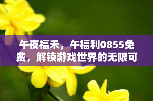 午夜福禾，午福利0855免费，解锁游戏世界的无限可能
