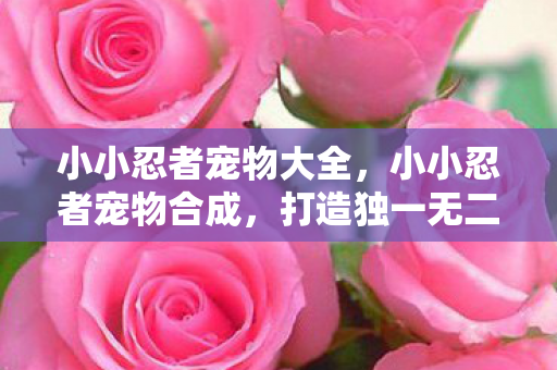 小小忍者宠物大全，小小忍者宠物合成，打造独一无二的战斗伙伴