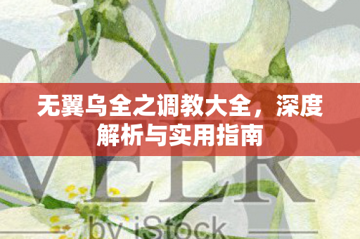 无翼乌全之调教大全，深度解析与实用指南