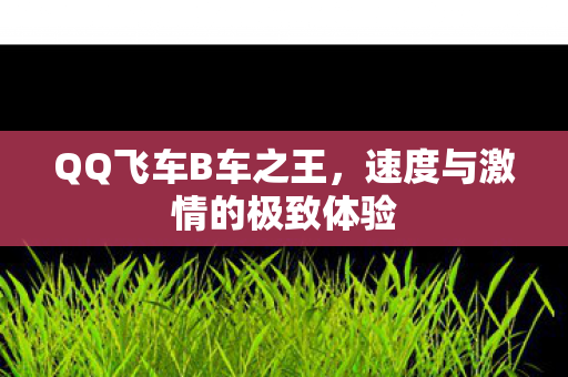 QQ飞车B车之王，速度与激情的极致体验
