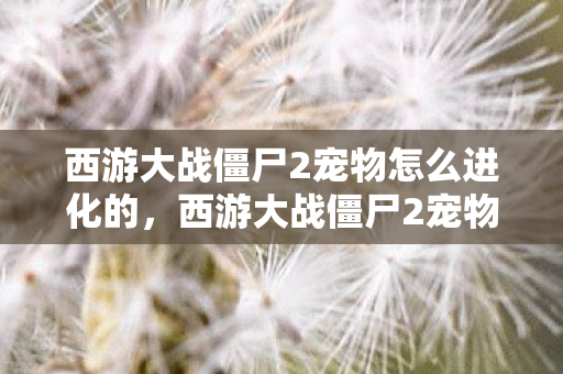 西游大战僵尸2宠物怎么进化的，西游大战僵尸2宠物怎么进化