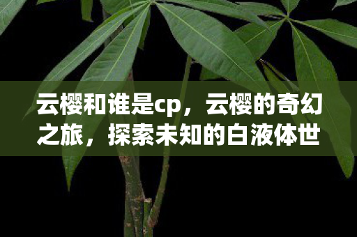 云樱和谁是cp，云樱的奇幻之旅，探索未知的白液体世界