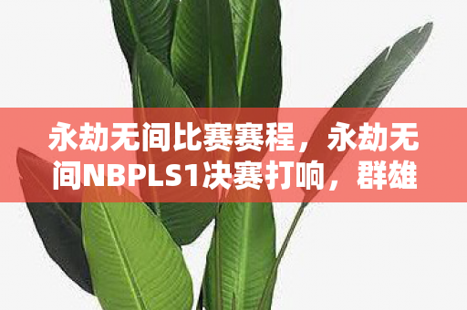 永劫无间比赛赛程，永劫无间NBPLS1决赛打响，群雄逐鹿，剑指巅峰