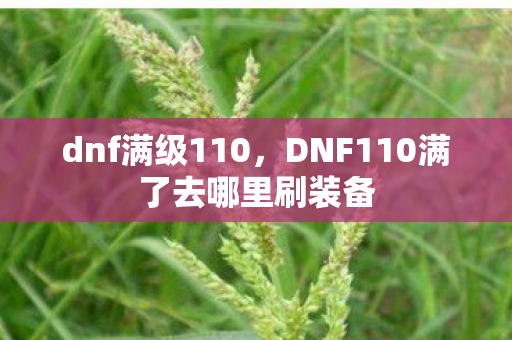 dnf满级110，DNF110满了去哪里刷装备