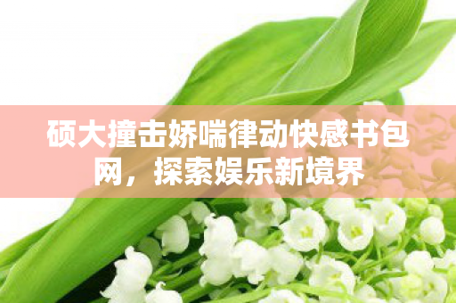 硕大撞击娇喘律动快感书包网，探索娱乐新境界