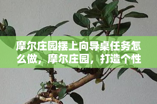 摩尔庄园摆上向导桌任务怎么做，摩尔庄园，打造个性化家园，摆上向导桌的奇妙之旅