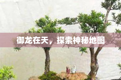 御龙在天，探索神秘地图