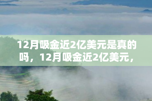 12月吸金近2亿美元是真的吗，12月吸金近2亿美元，揭秘游戏产业背后的吸金神话