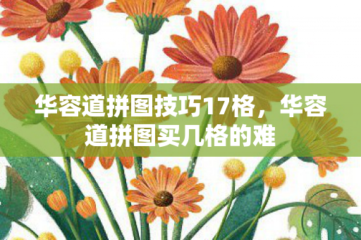 华容道拼图技巧17格，华容道拼图买几格的难