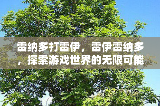 雷纳多打雷伊，雷伊雷纳多，探索游戏世界的无限可能