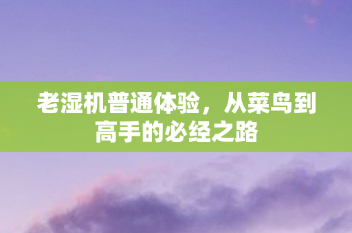老湿机普通体验，从菜鸟到高手的必经之路