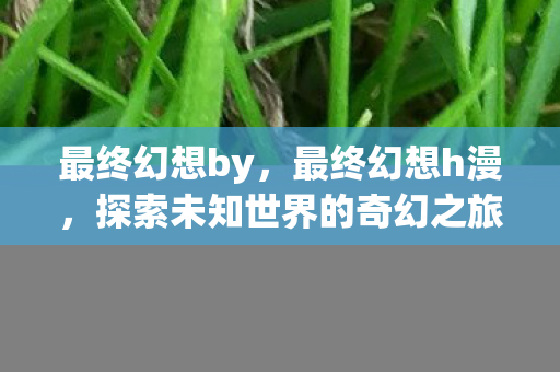 最终幻想by，最终幻想h漫，探索未知世界的奇幻之旅