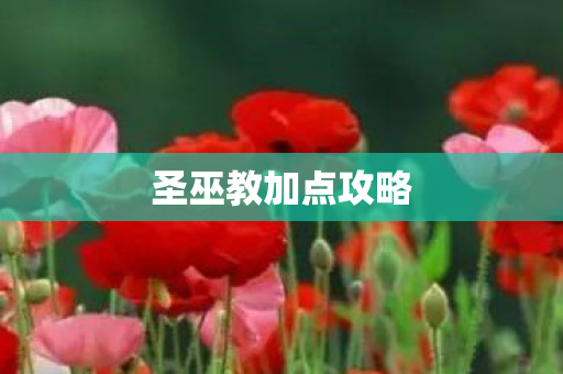 圣巫教加点攻略