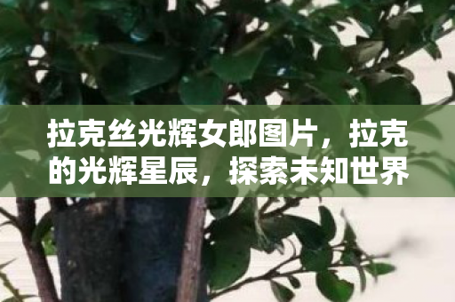 拉克丝光辉女郎图片，拉克的光辉星辰，探索未知世界的奇妙之旅
