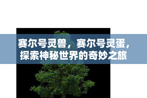 赛尔号灵兽，赛尔号灵蛋，探索神秘世界的奇妙之旅