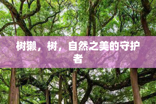 树獭，树，自然之美的守护者