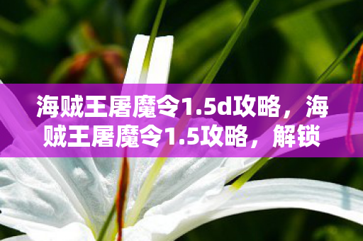 海贼王屠魔令1.5d攻略，海贼王屠魔令1.5攻略，解锁无限可能的战斗策略