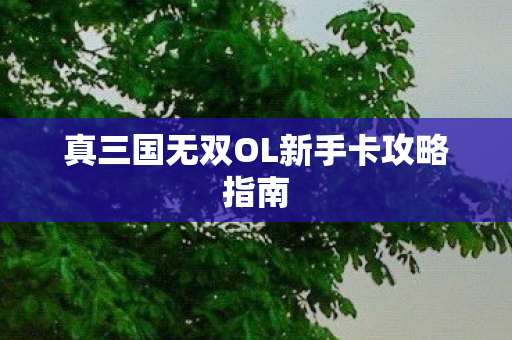 真三国无双OL新手卡攻略指南