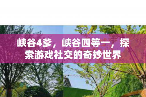 峡谷4爹，峡谷四等一，探索游戏社交的奇妙世界