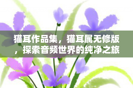猫耳作品集，猫耳属无修版，探索音频世界的纯净之旅