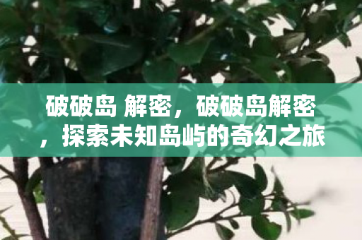 破破岛 解密，破破岛解密，探索未知岛屿的奇幻之旅