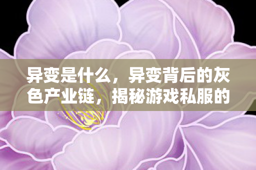 异变是什么，异变背后的灰色产业链，揭秘游戏私服的灰色经济