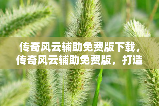 传奇风云辅助免费版下载，传奇风云辅助免费版，打造你的游戏新体验