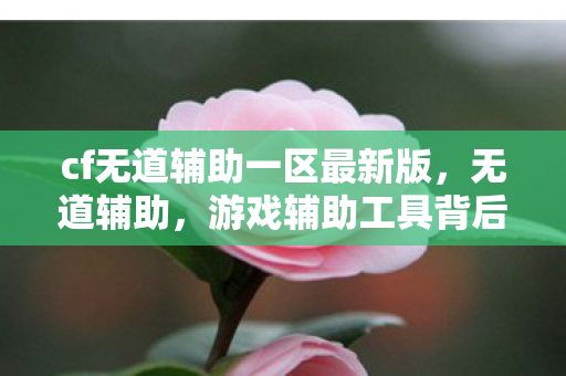cf无道辅助一区最新版，无道辅助，游戏辅助工具背后的双刃剑