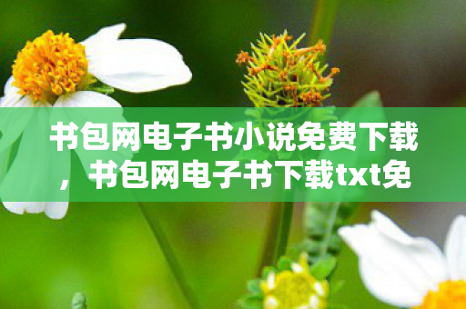 书包网电子书小说免费下载，书包网电子书下载txt免费下载，探索数字阅读的便捷与乐趣