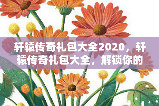 轩辕传奇礼包大全2020，轩辕传奇礼包大全，解锁你的游戏之旅