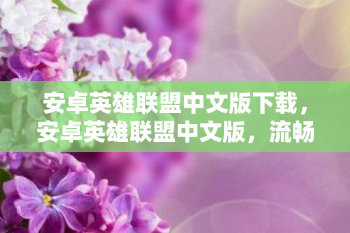 安卓英雄联盟中文版下载，安卓英雄联盟中文版，流畅体验与无限可能